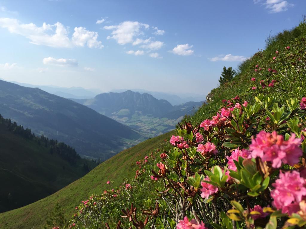 Das Alpbach Juwel Екстериор снимка