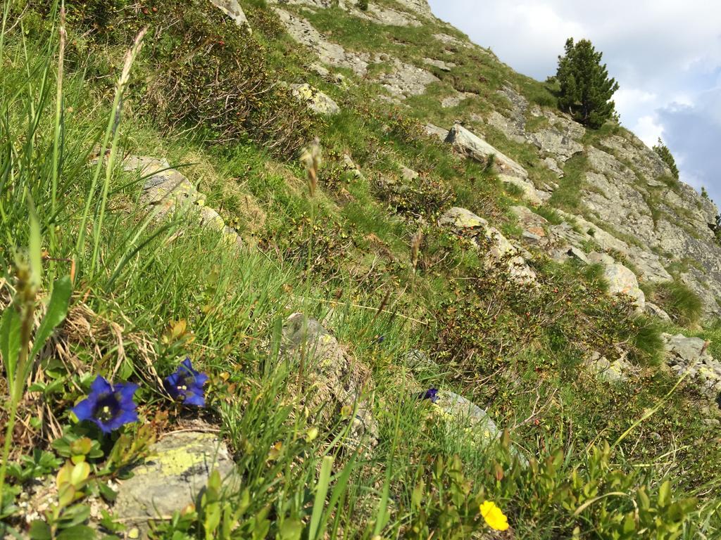 Das Alpbach Juwel Екстериор снимка