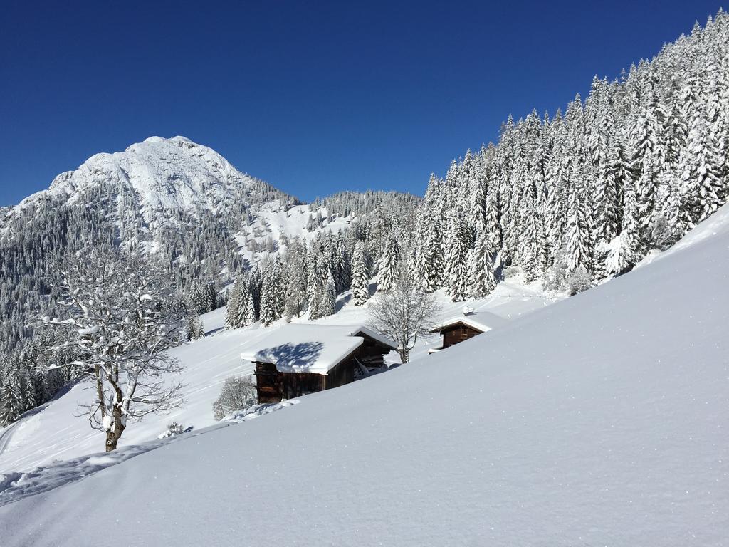 Das Alpbach Juwel Екстериор снимка