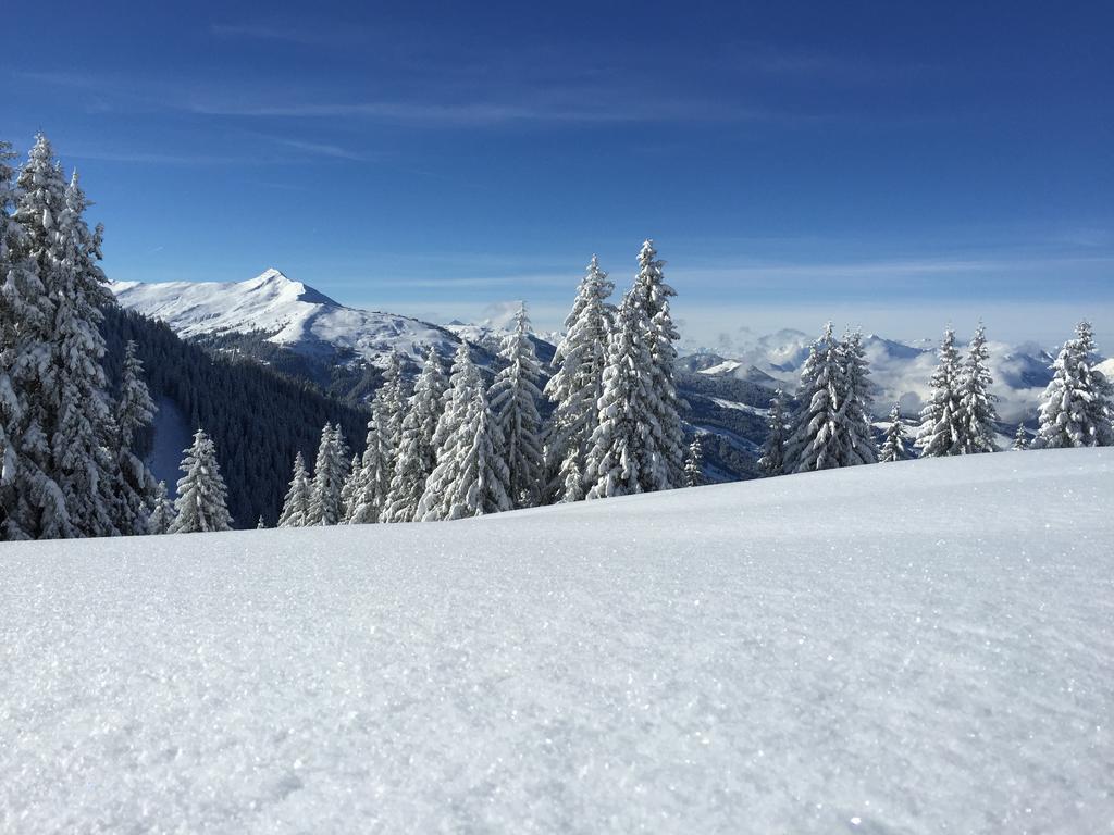 Das Alpbach Juwel Екстериор снимка