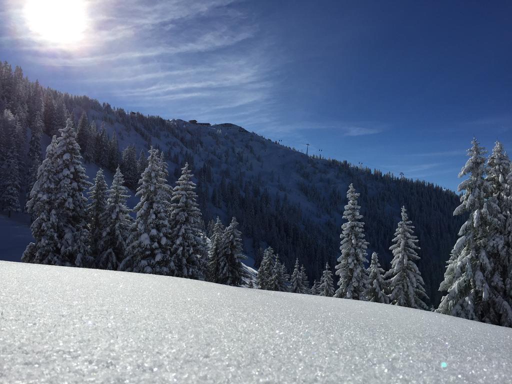 Das Alpbach Juwel Екстериор снимка