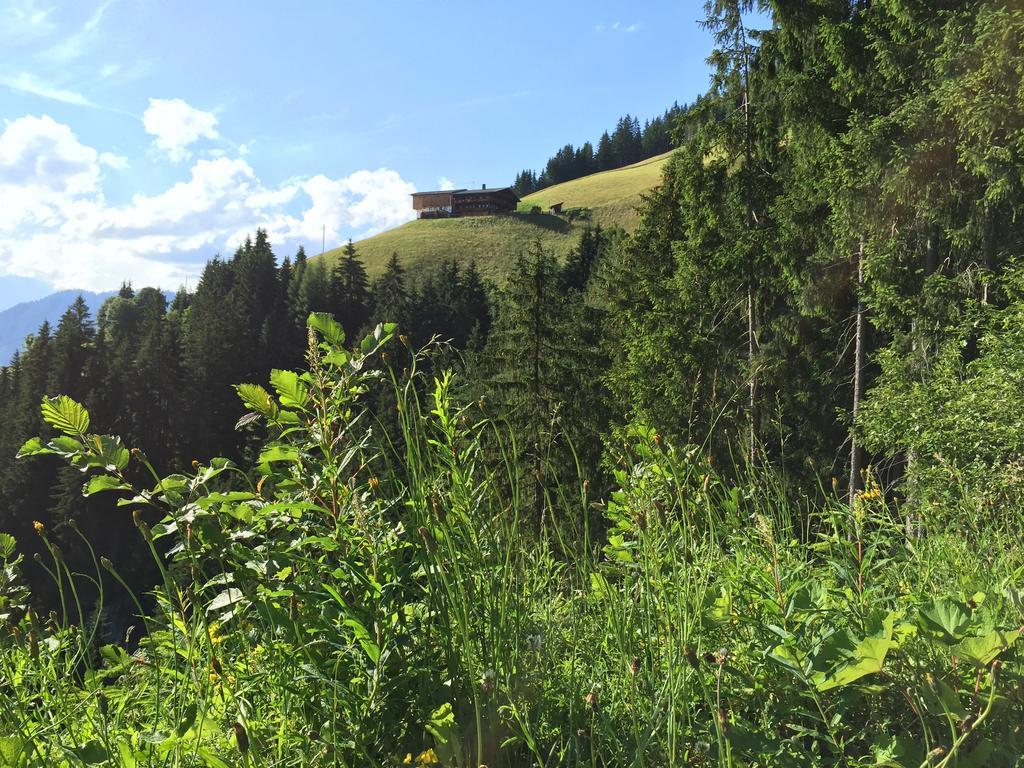 Das Alpbach Juwel Екстериор снимка